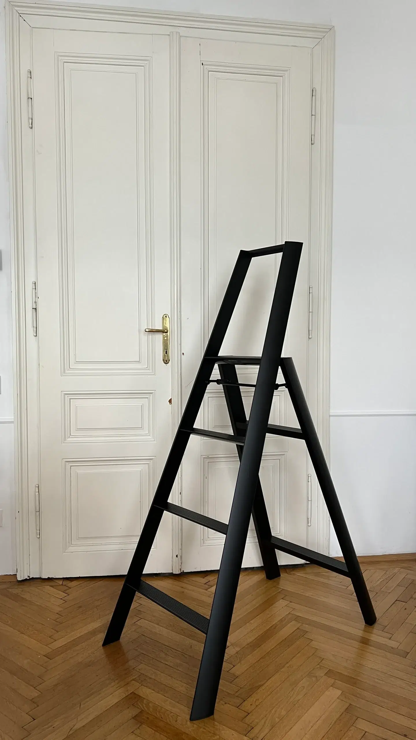 Lucano ladder from Metaphys